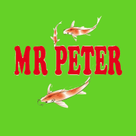 Mr peter screen icon 1
